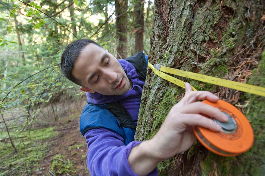 An SPU student gathers tree data on Blakely Island